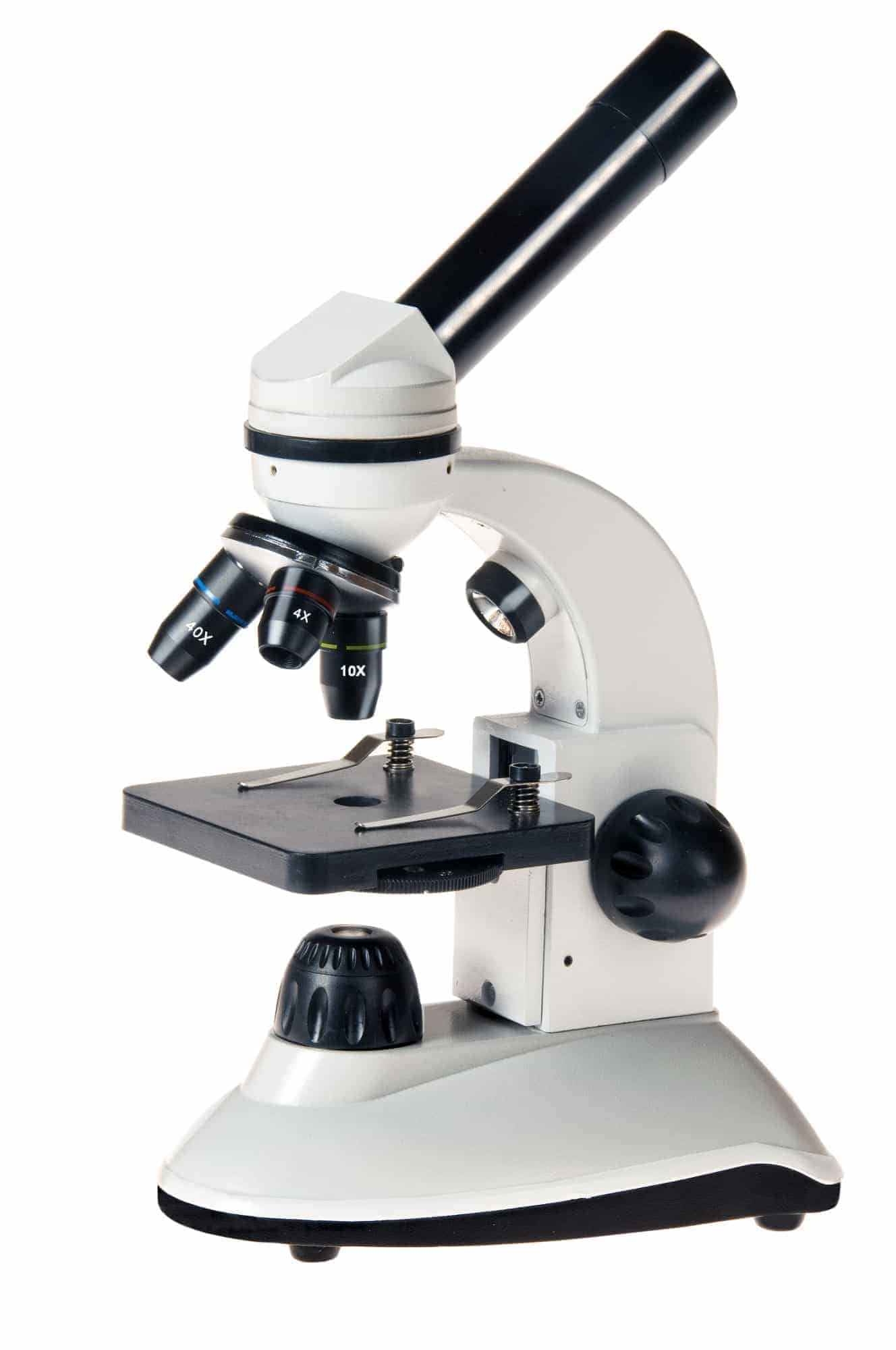 Junior mikroskop - Junior mikroskoper og unge