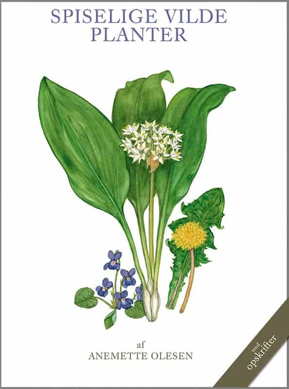 Spiselige vilde planter - Junior Grej Bøger og plakater om natur og